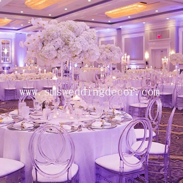 transparent dining chairs